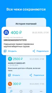 ГосОплата - ГИБДД, ФССП, ФНС айфон картинки 3