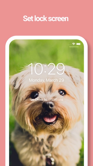 Dog Wallpapers -Picture, Movie Screenshot