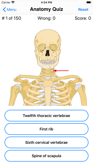 Anatomy Quiz Screenshot