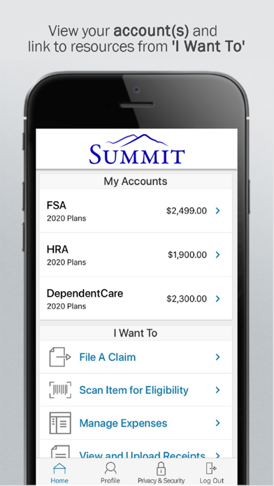 Summit Admin FSA Screenshot