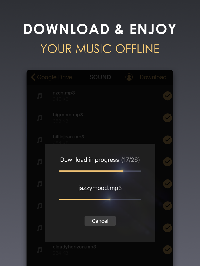 Equalizer HD music player