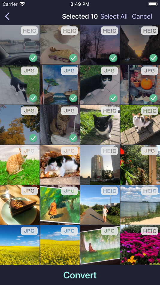 #1. Luma: Convert Heic 2 Jpg (iOS) 由: Sergey Pekar