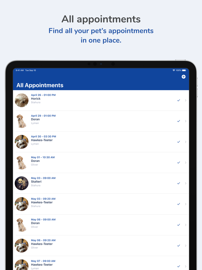 Royal Oak Pet Clinic