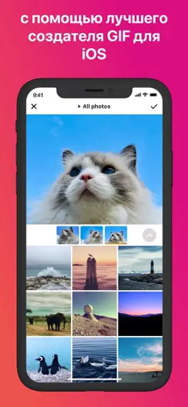 Game screenshot Giftr - Создатель GIF apk