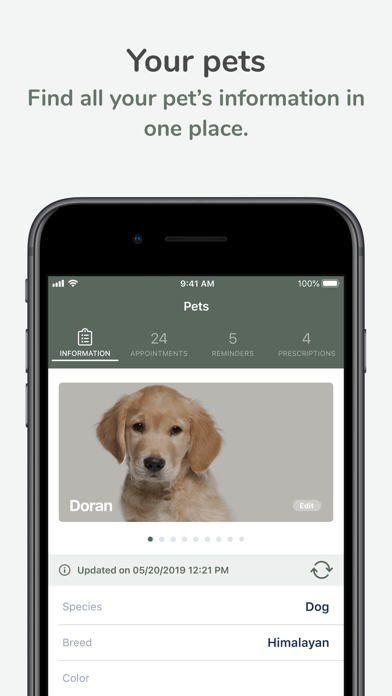 Willow Grove Animal Clinic Screenshot