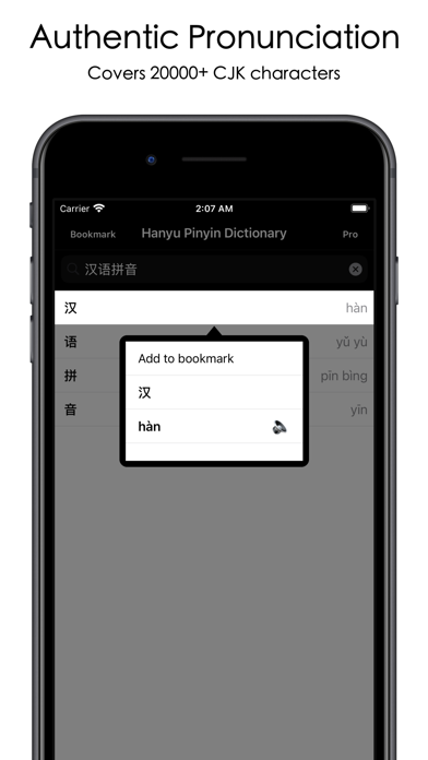 Hanyu Pinyin Dictionary Screenshot