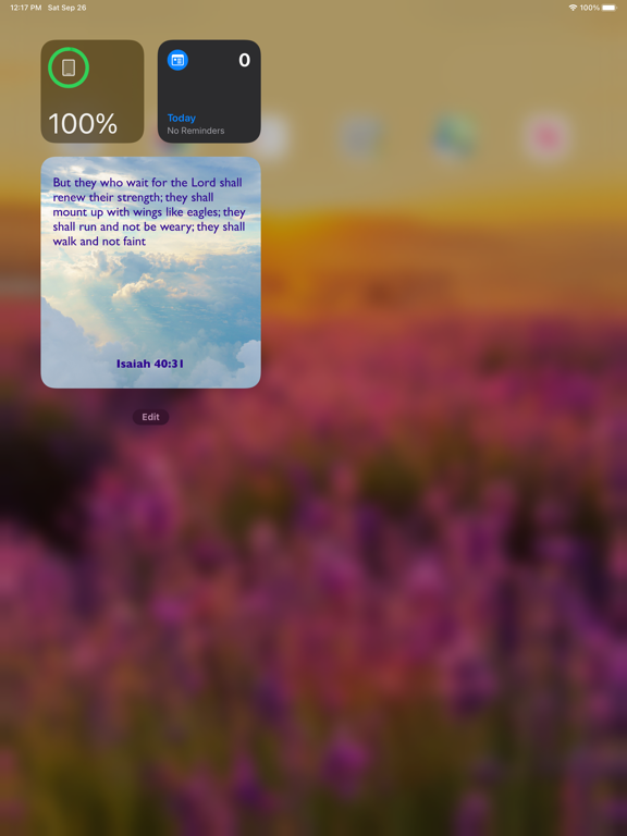 Screenshot #4 pour Bible Widget +