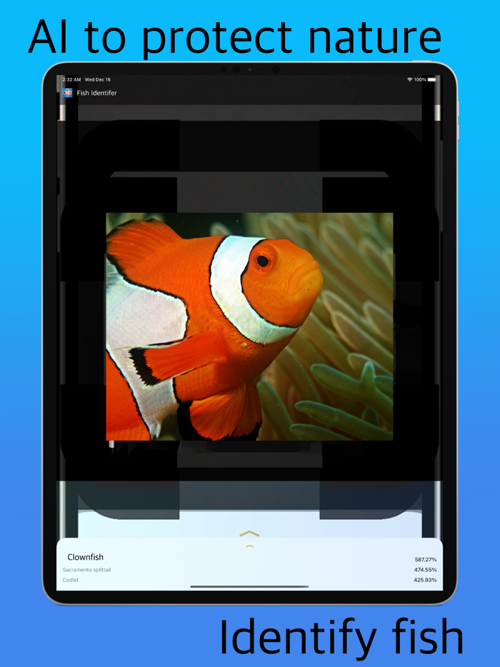 Fish Identifier AI