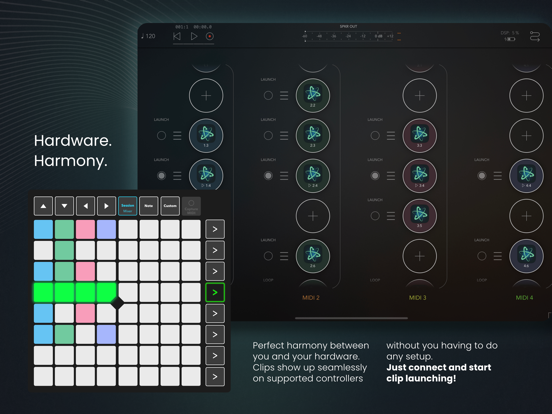 Atom | Piano Roll 2 iPad app afbeelding 4