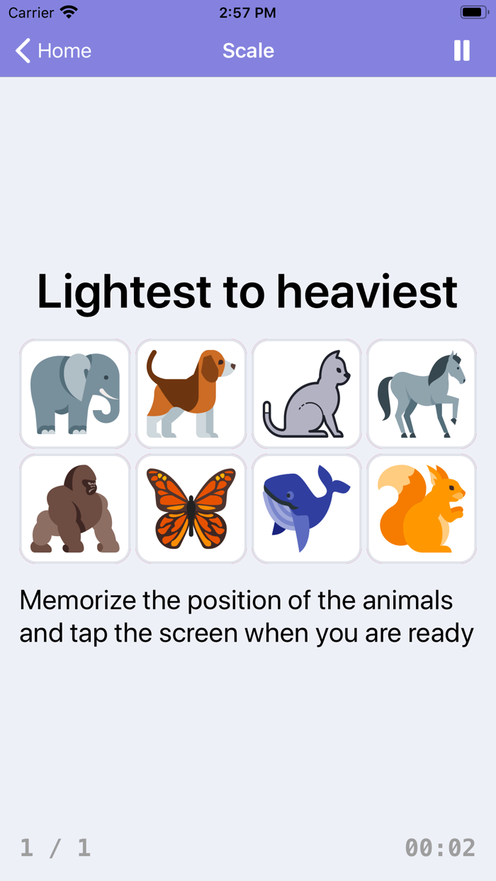 Brain Games - Brainilis