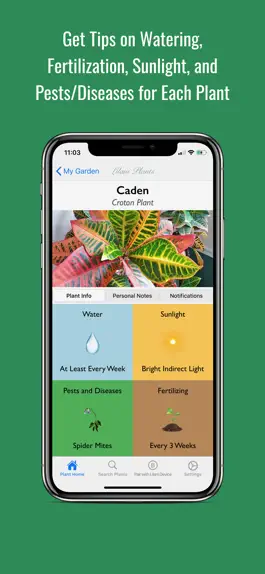 Game screenshot Lilani Plants mod apk