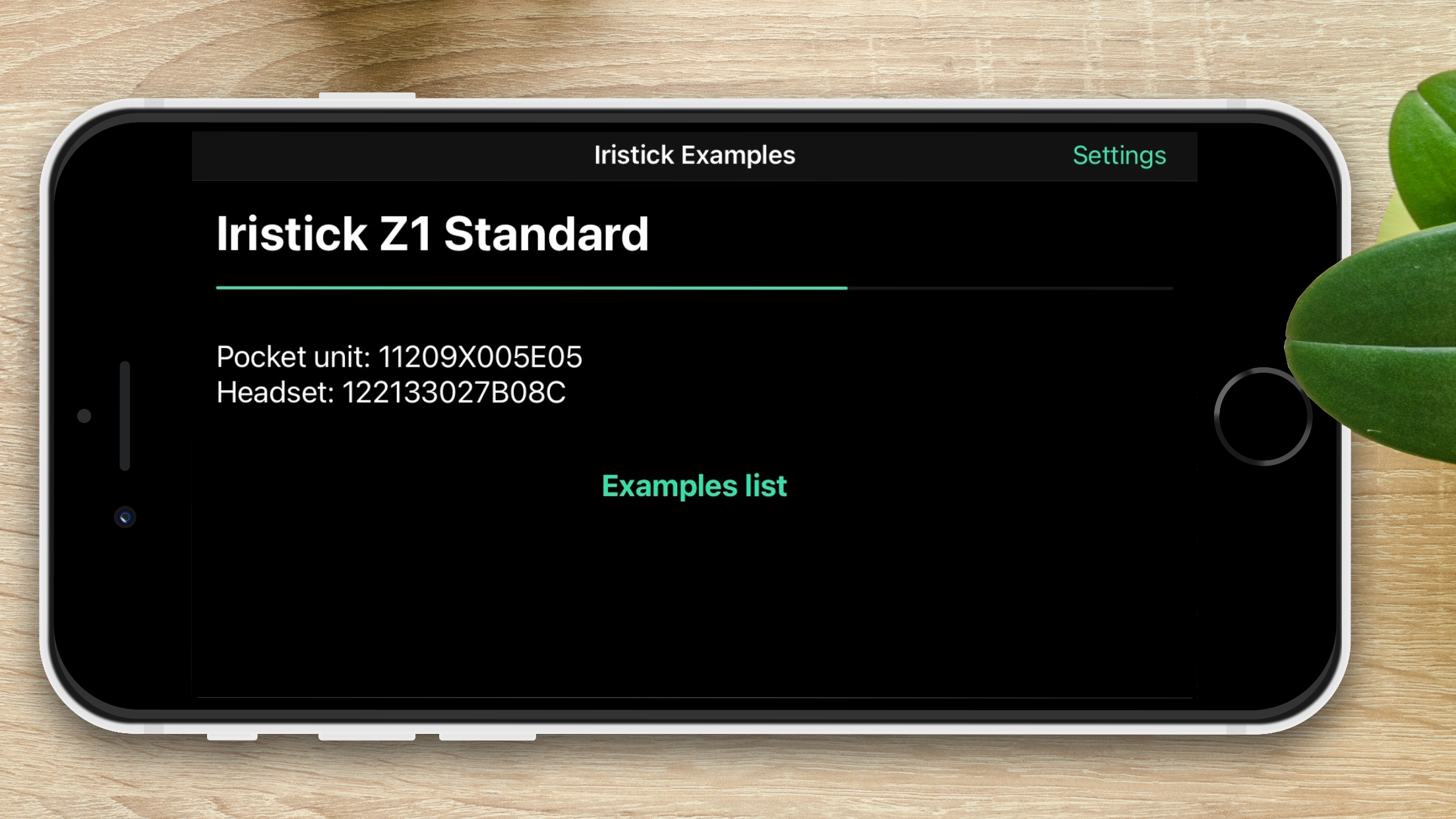 Iristick Examples