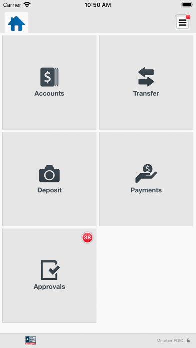Texas National Bank Business Screenshot