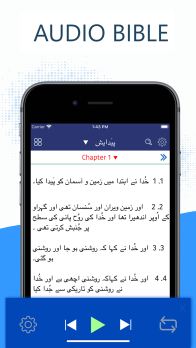 Urdu bible - اردو بائبل screenshot 2
