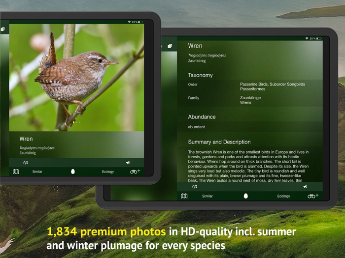 All Birds Scotland Photo Guide