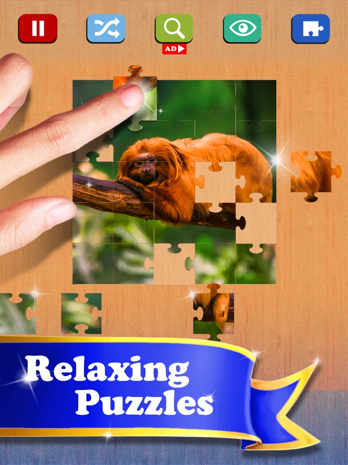 Daily Jigsaw Puzzles Classic