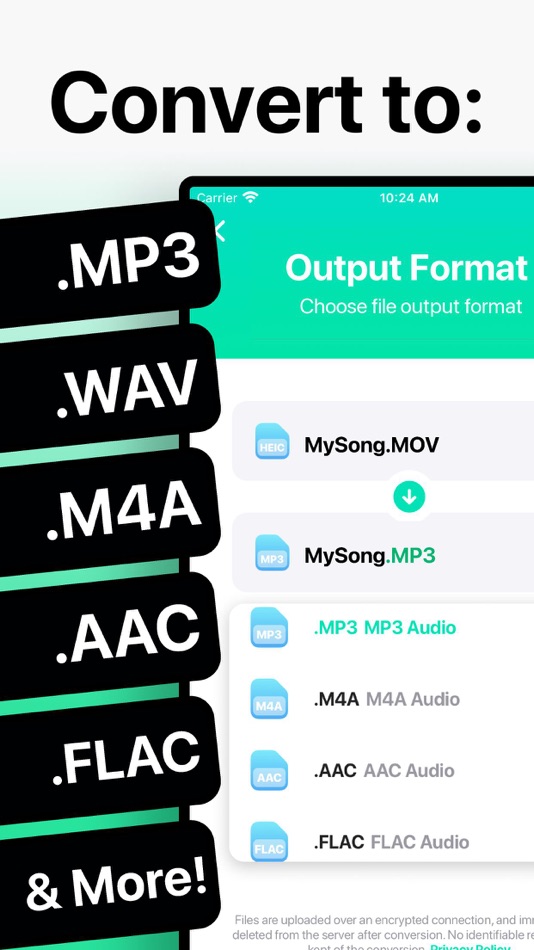 The Audio Converter - 12.8.0 - (iOS)