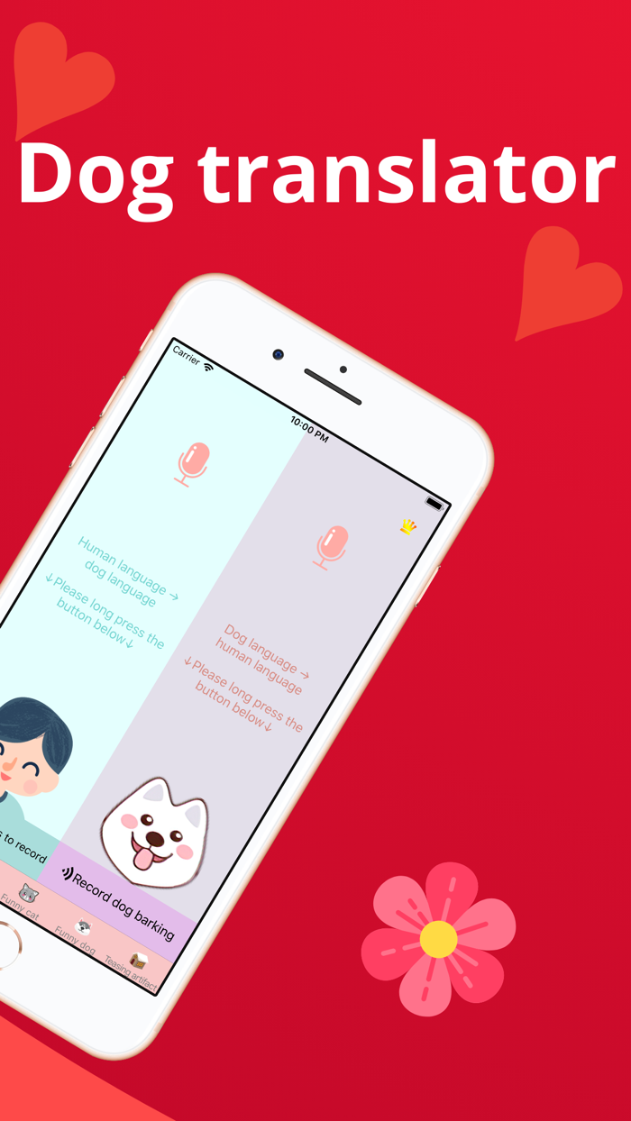 DogandCat  translator pet co