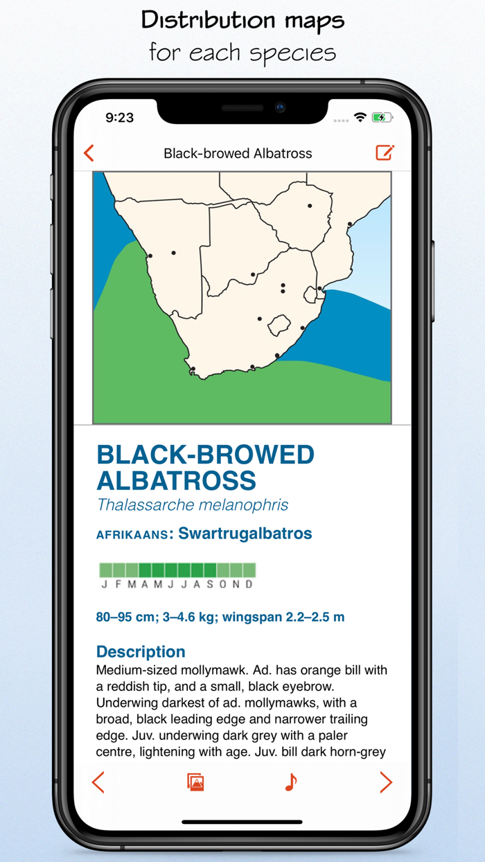 Sasol eBirds South Africa LITE
