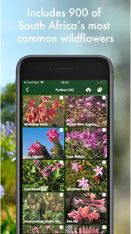 Game screenshot Wildflowers of South Africa hack