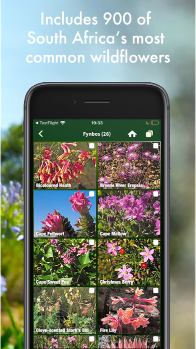 Screenshot #3 pour Wildflowers of South Africa