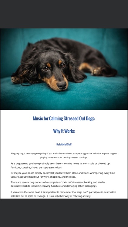 Wagging Tails Magazine