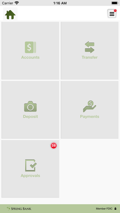 Spring Bank Business Screenshot