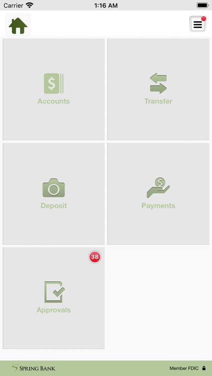 Spring Bank Business