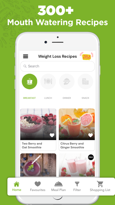Weight Loss Healthy Recipes Screenshot