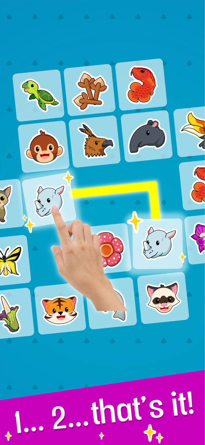 Pair Up Match Two Puzzle