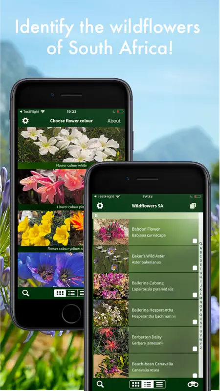 Wildflowers of South Africa screenshot 2 of 10