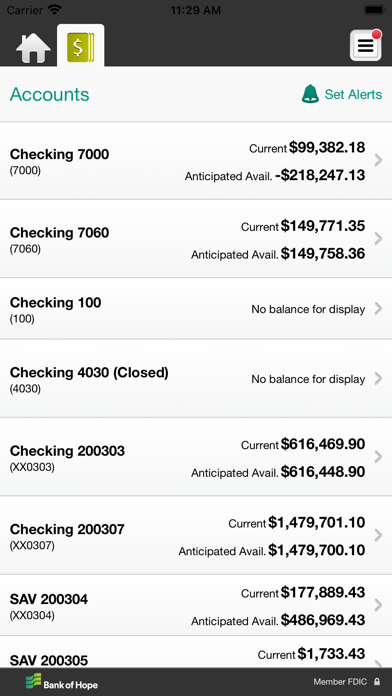 Bank of Hope Business Banking Screenshot