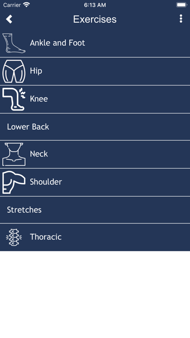 Countryside Chiropractic Screenshot