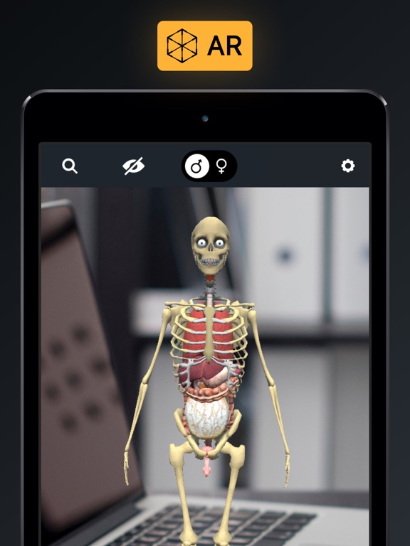 人体解剖・アトラス 3D：筋肉と骨格のおすすめ画像5