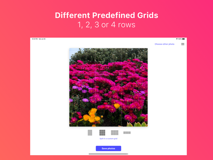 Griddy Plus Split Pic in Grid