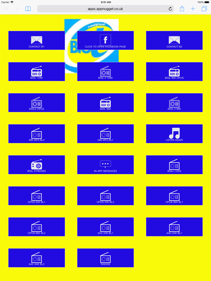 BigL Radio player v10