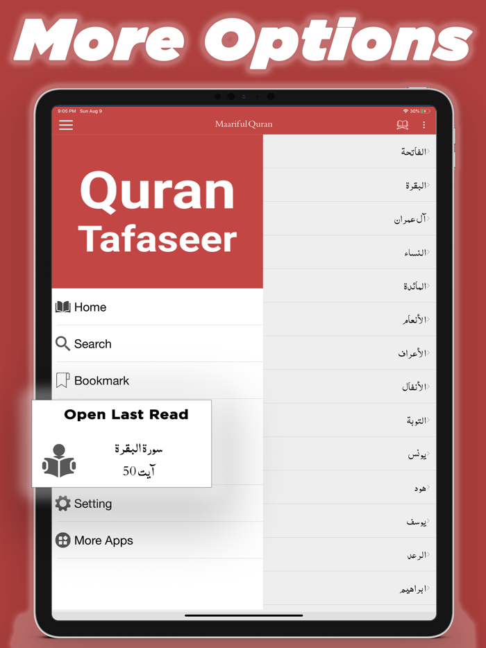 Quran Tafaseer in English