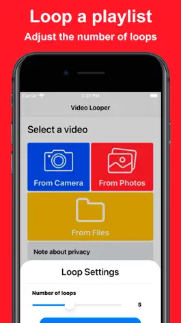 Game screenshot Video Looper - Replay Videos apk