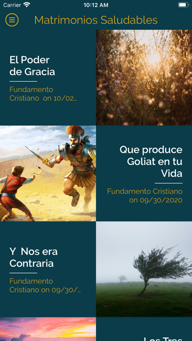 Matrimonios Saludables Screenshot