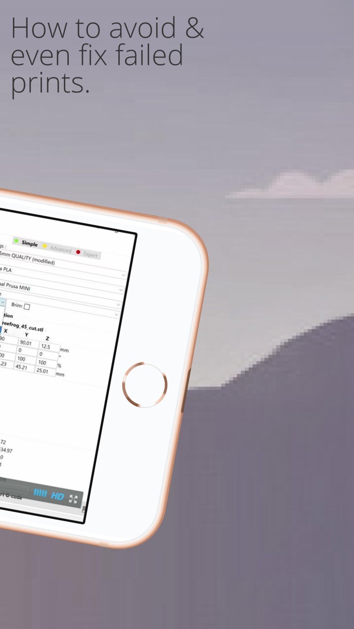 3D Printing Model Craft Scan