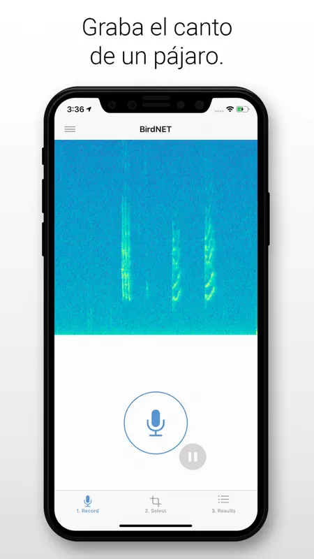 BirdNET screenshot 1 of 4
