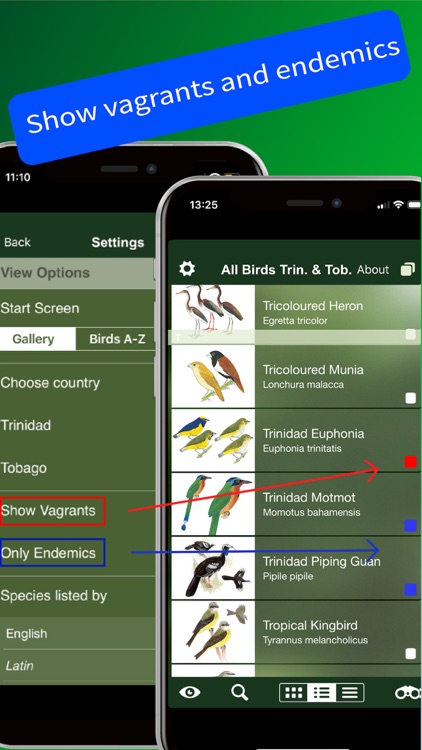 All Birds Trinidad and Tobago screenshot-4