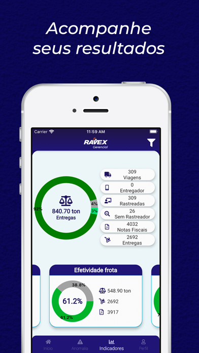Ravex Gerencial Screenshot