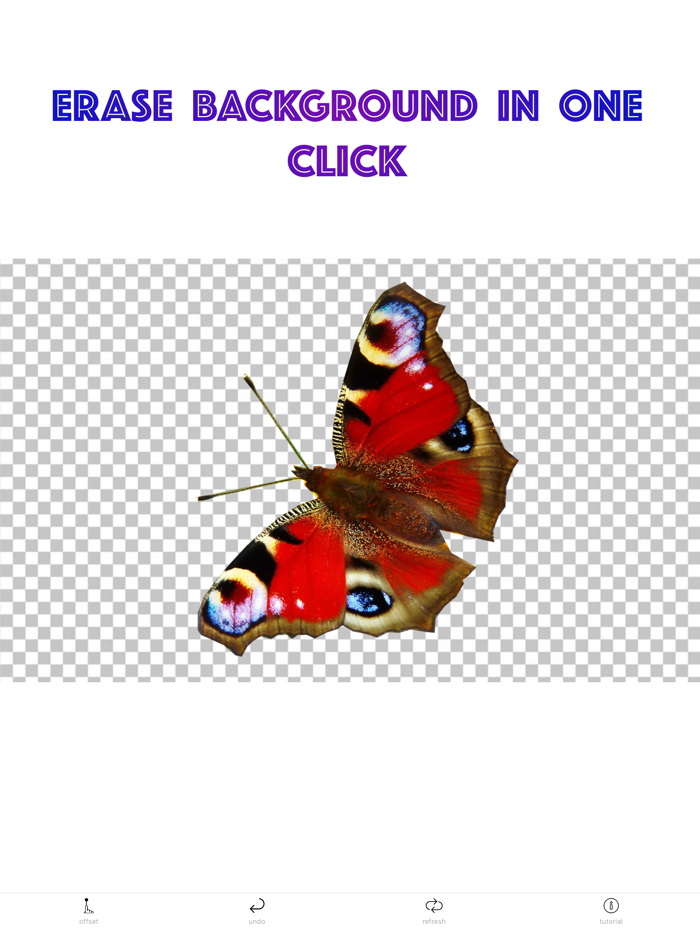 Background Eraser - Lasso Dots