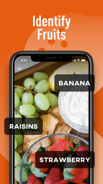 AI Translator&Plant Identifier screenshot-4
