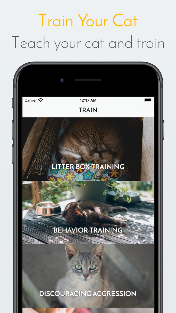 Kitty App - Care my Cat