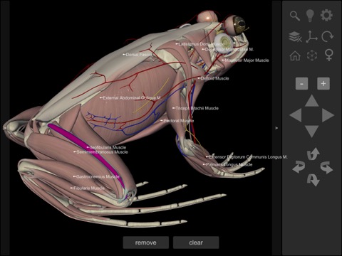 3D Frog Anatomyのおすすめ画像6