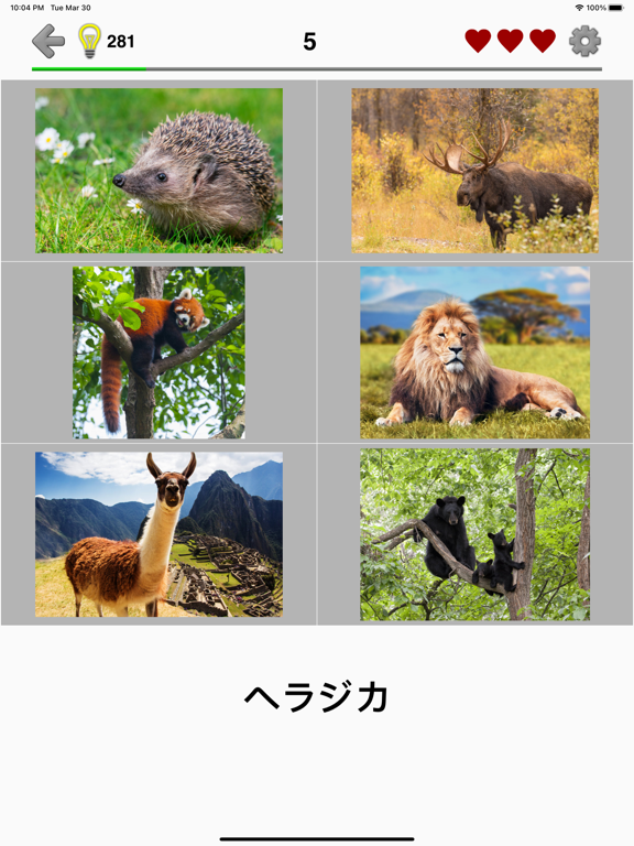 動物クイズゲーム : 動物園全体の日本と世界の動物のおすすめ画像2
