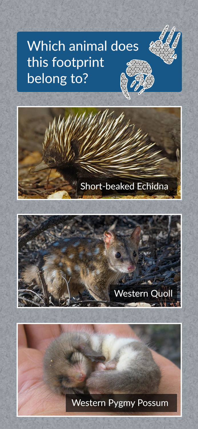 Discover Alcoa Australia