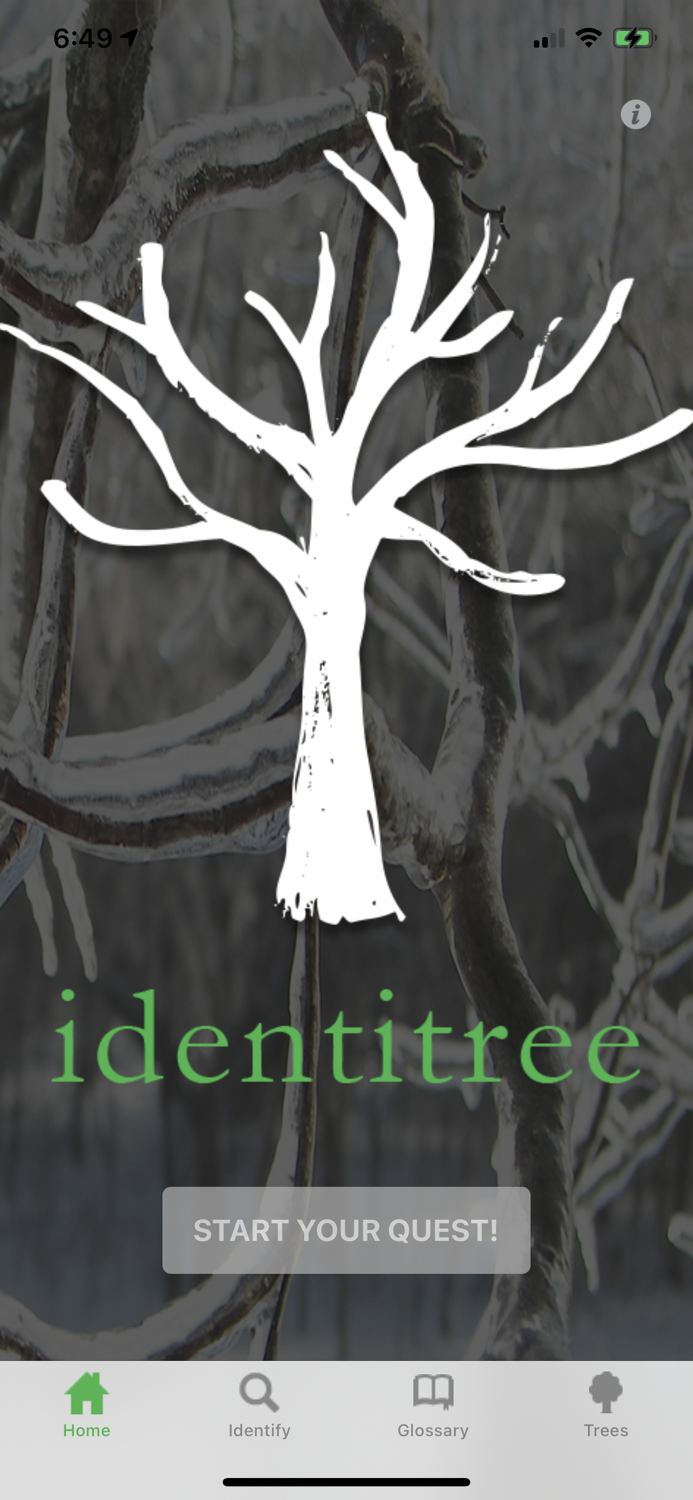 Identitree Starter Kit